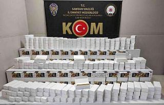Samsun’da ’60 bin dal’ makaron ele geçirildi