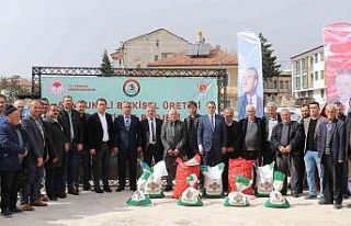 Samsun’da üreticiye patates ve kuru fasulye tohumluğu...