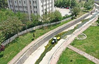 Şanlıurfa’da ilaçlama seferberliği