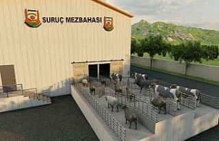 Şanlıurfa’nın Suruç ilçesine modern mezbaha...