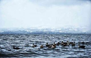 Sapanca Gölü’nde içme suyu kalitesi birinci sınıf
