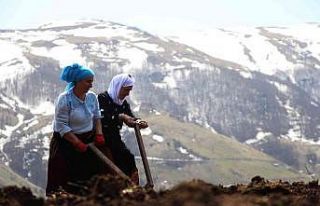Şartlar çok zor olsa da onlar çalışmadan duramıyor