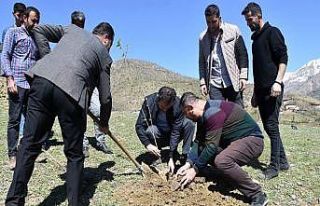 Sason’da ipek böcekçiliği geliştirme projesi...