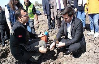 Şehit ve Gaziler için fidan dikildi