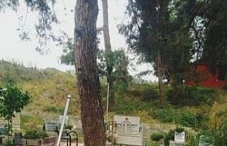 Şehitlikteki bayrakları çaldılar