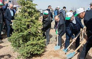 Selçuk Üniversitesinde bin 500 fidan toprakla buluşturuldu