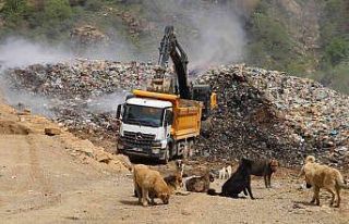 Şemdinli’de vahşi çöp depolama alanı kaldırılıyor