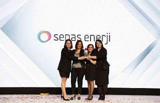 Sepaş Enerji ödüle layık görüldü