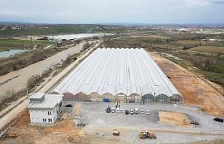 Seracılık Mükemmeliyet Merkezi’nde 65 bin kök...