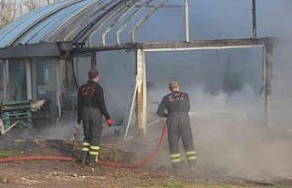 Serada çıkan yangın korkuttu