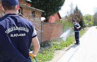 Serdivan Belediyesi ilaçlama çalışmalarına başladı