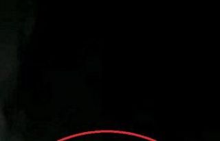 Seyir halindeki aracın önüne çıkan bozayı kamerada