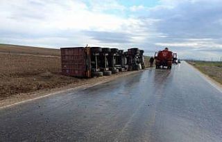 Seyitgazi’de yol kenarın devrilen tırın sürücüsü...