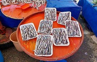 Sezonun son hamsileri 30 liradan satıldı