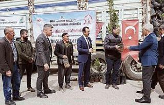 Siirt’te bin 700 dekar üzerine ’Siirt fıstığı’...
