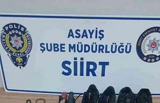 Siirt’te hırsızlık şüphelisi yakalandı