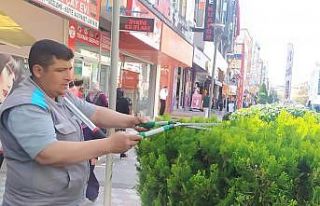 Sincan’da ağaçlar budanıyor, çocuk oyun alanlarının...