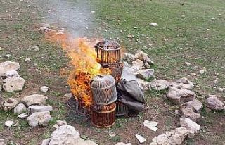 Şırnak’ta kınalı keklikler doğaya bırakıldı,...