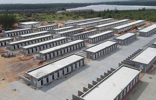 Sokak Hayvanları Bakım Evi Projesi yüzde 90 tamamlandı