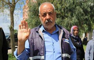 Sokak köpekleri mahallelinin kabusu oldu