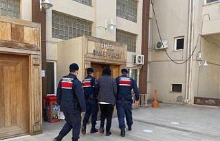 Suç makinesi annesine ait tarladaki konteynerde saklanırken...