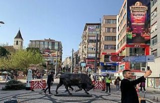 Tahrip edilen Kadıköy Boğa Heykeli kapatıldı