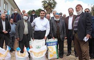 Taşovalı 800 çiftçiye tohum desteği