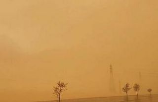 Tatvan güne çamurla uyandı