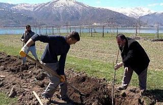 Tatvan’da meyve fidanları toprakla buluştu