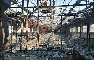 Tavuk çiftliğinde yangın