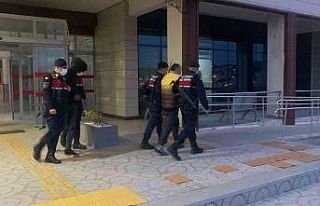 Tekne motoru hırsızları kıskıvrak yakalandı