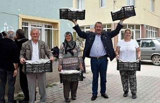 Tepebaşı’ndan 12 üreticiye 25 bin çilek fidesi...