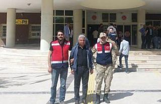 Terör örgütüne yardım eden zanlı yakalandı