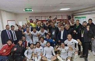 TFF 2. Lig: Van Spor FK: 1 - Somaspor FK: 0