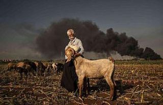TFSF’den Arka Plan Fotoğraf Derneği’ne mansiyon...