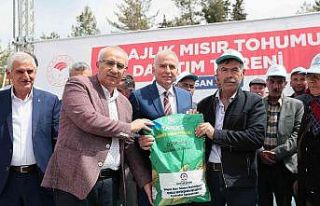 Tohum desteği çiftçinin yüzünü güldürecek