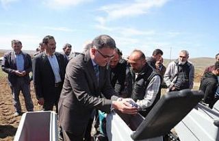 Tokat’ta, 700 çiftçiye yüzde 50 hibeli ayçiçeği...