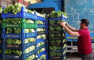 Tokat’ta sebze ve meyve fiyatlarında düşüş