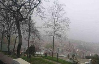 Trabzon’da yoğun sis etkili oluyor