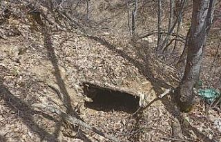 Tunceli’de Eren Kış-23 operasyonu: 5 sığınak...