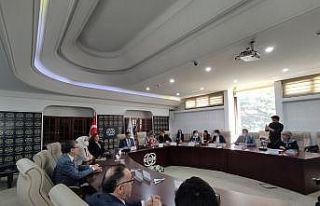 Türkiye ile Gürcistan ombudsmanlık kurumları iş...