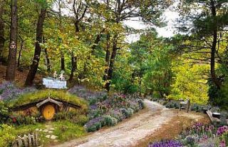 Türkiye’nin en büyük Bal Ormanı Kazdağları’nda...