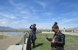 Türkülere ilham kaynağı olan turnaların envanter...