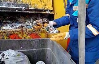 Tuzla’da çöpten kurtarılan yavru kediler görenlerin...