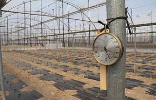 Ucuz sebze için geri sayım başladı