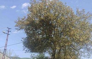 Uğuruna cinayet bile işlenen yolu açmak isterken...