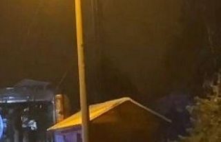 Uludağ’da günübirlikçi tatilcilerin ayı paniği...