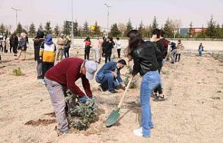 Üniversitede 500 fidan toprakla buluştu