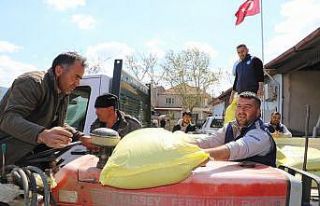 Üreticilere gübre desteği yüzleri güldürdü
