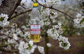 Üreticinin biyoteknik mücadelesine destek